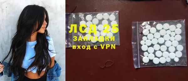 гашик Инта