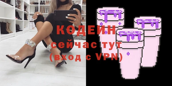 гашик Инта
