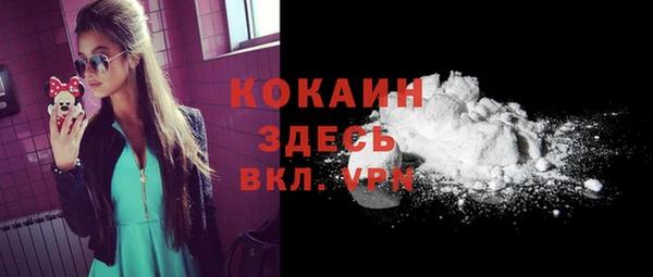 гашик Инта