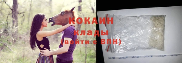 гашик Инта
