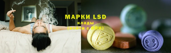 гашик Инта