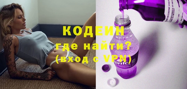 гашик Инта