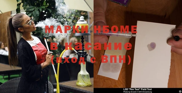 гашик Инта